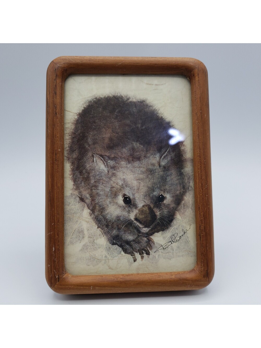 Pamela Conder Australian Artist Wombat Card in Wood Frame 1986 Melbourne